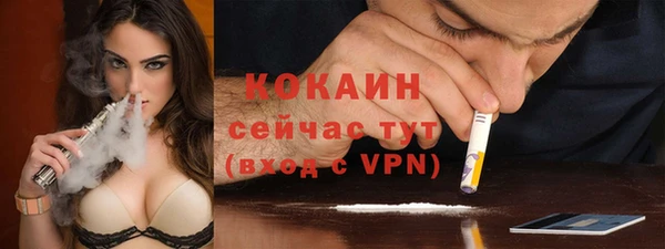 молекула духа Бронницы