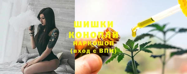 винт Бородино