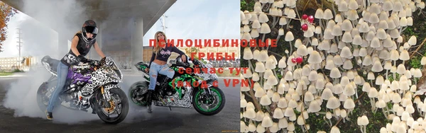 Альфа ПВП Бугульма
