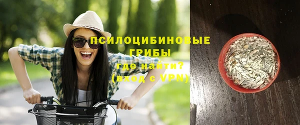винт Бородино
