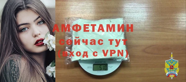 молекула духа Бронницы