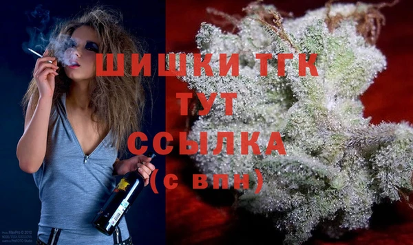 Альфа ПВП Бугульма