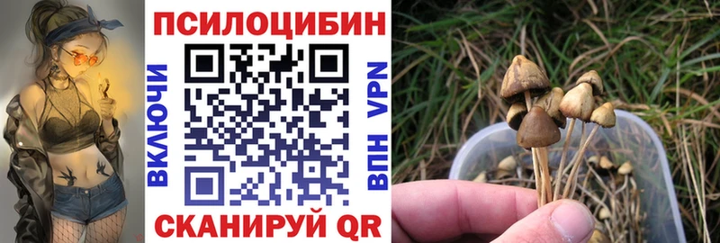 дарнет шоп  блэк спрут ссылка  Псилоцибиновые грибы ЛСД  Дегтярск 